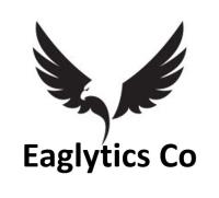 Eaglytics Co image 1